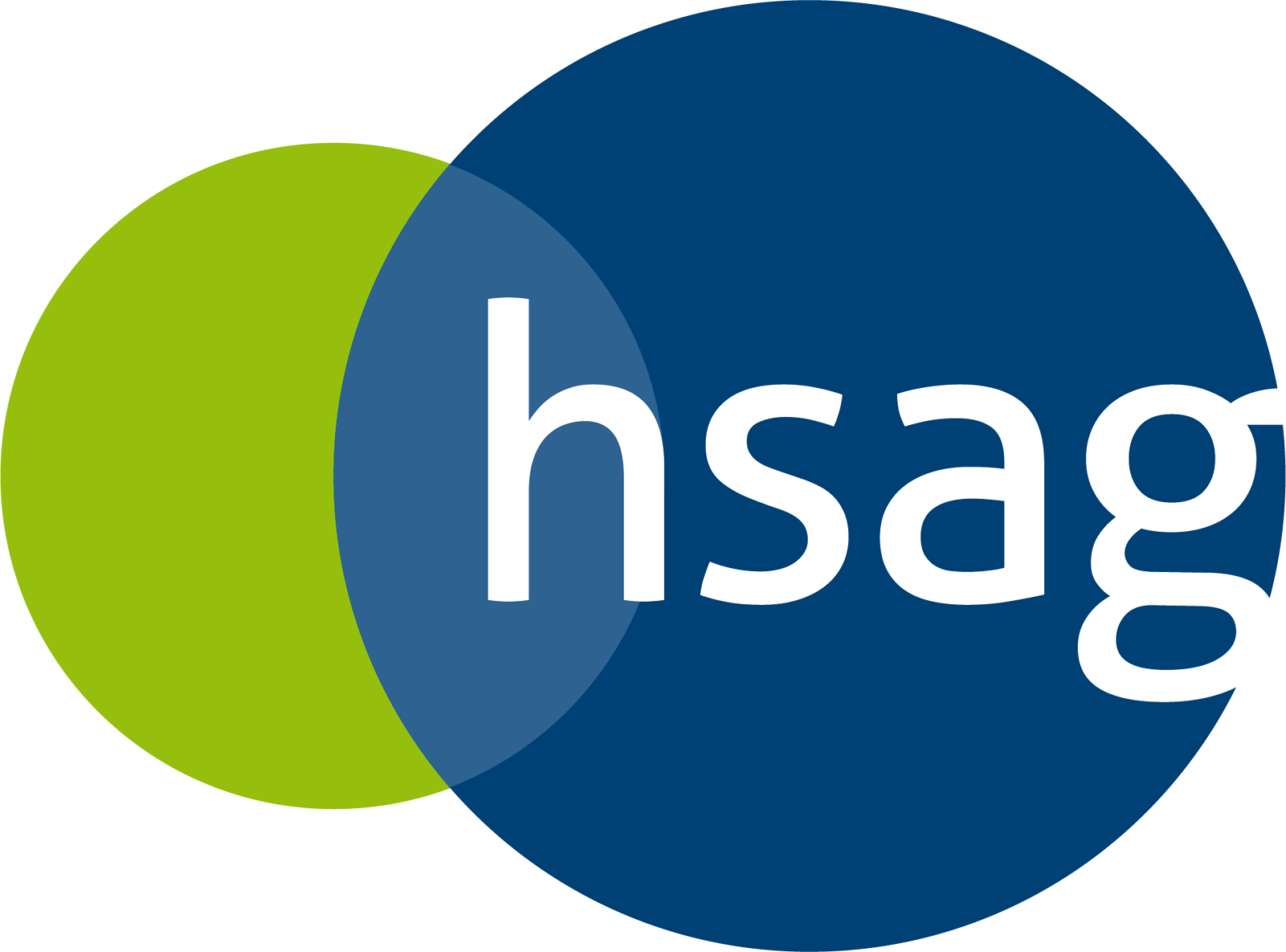 hsag - Heidelberger Services AG