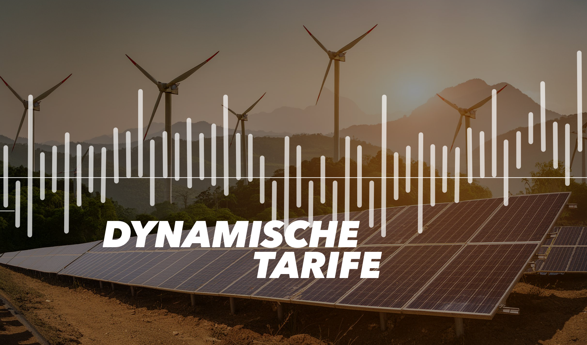 Die Zukunft der Preisgestaltung: Dynamische Tarife